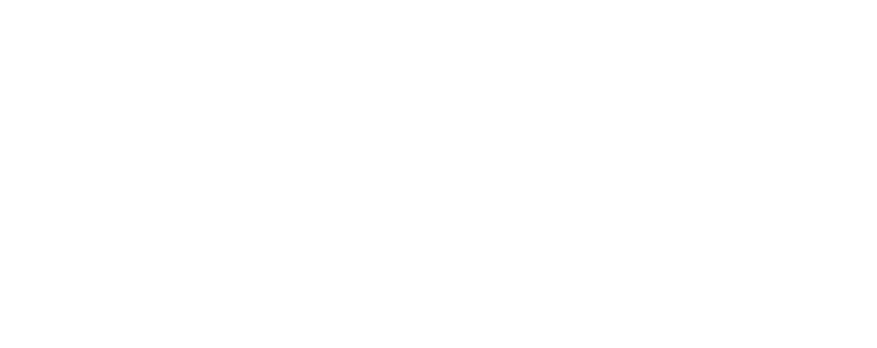 logo smart power